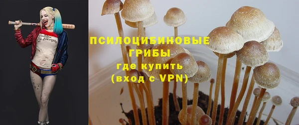 a pvp Зеленодольск