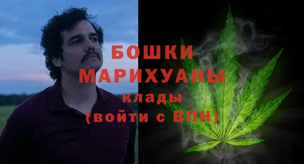 ПСИЛОЦИБИНОВЫЕ ГРИБЫ Зеленокумск