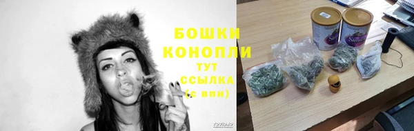 гашик Зерноград