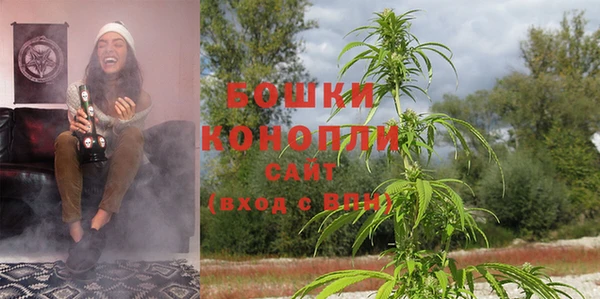гашик Зерноград