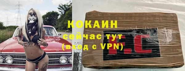 гашик Зерноград