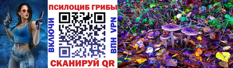 Купить закладки  Зерноград  Галлюциногенные грибы GOLDEN TEACHER 
